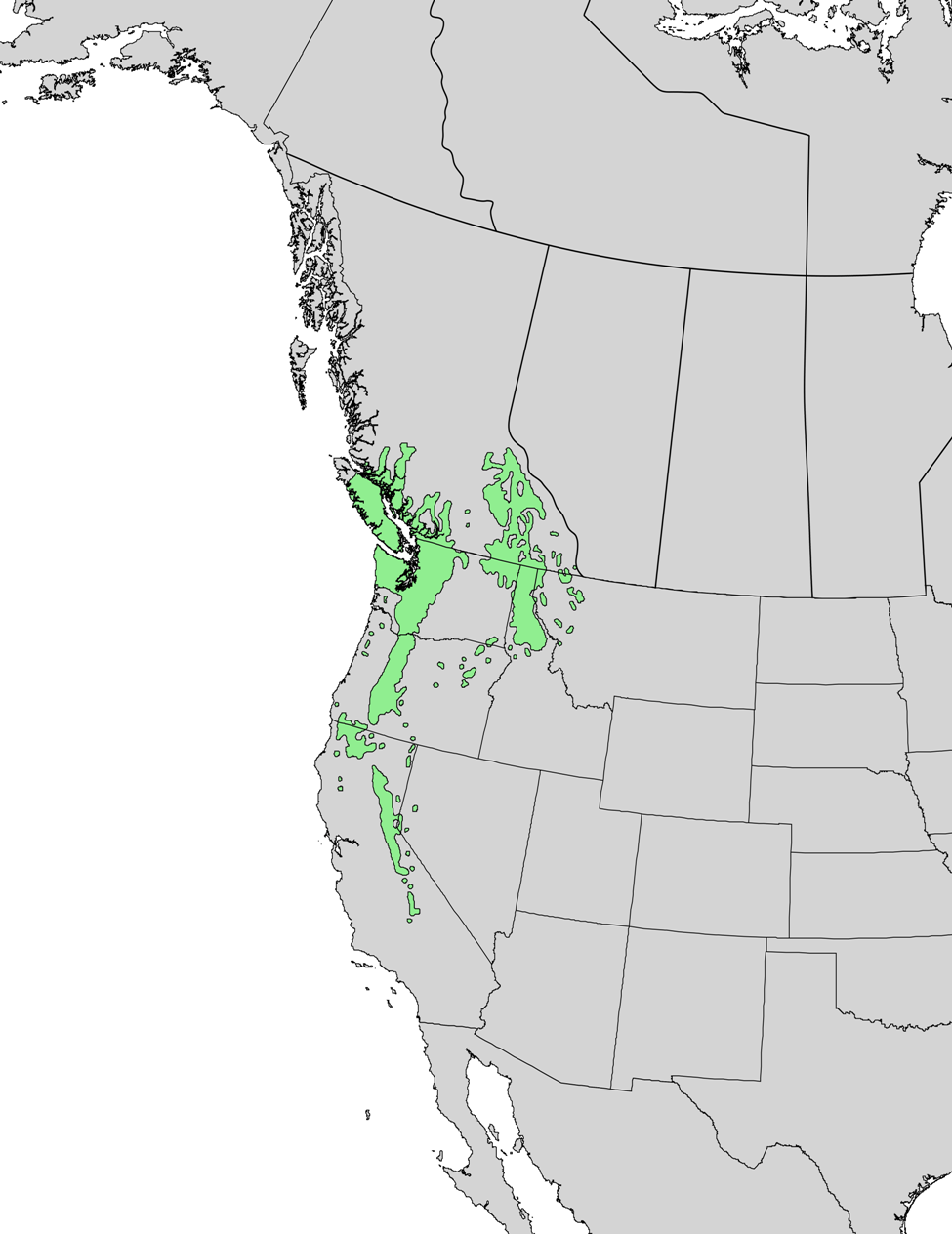 Ареал P. monticola. Как видите, это крайний юго-восток Канады (Британская Колумбия) и крайний запад США (Монтана, Айдахо, Вашингтон, Орегон, Калифорния). В физико-географическом смысле это Прибрежные хребты и мягкая в климатическом отношении часть Скалистых гор. 