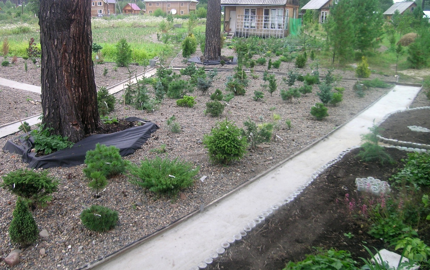 Гравийный сад в 2008 году.