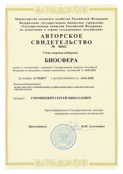 Государственная регистрация первого декоративного сорта кедра сибирского
