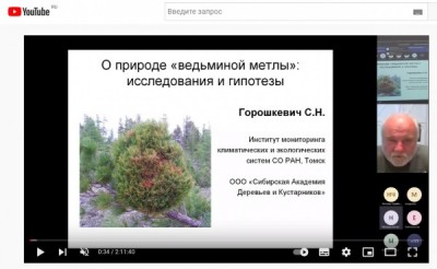 9 октября 2021 г. состоялась 1-я онлайн-конференция по интродукции и селекции хвойных в России