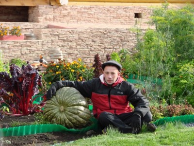 Гигантские овощи в Сибири вполне обычно