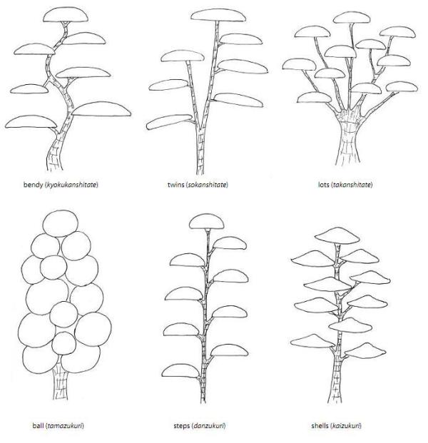 Стили ниваки организованы не так, как стили бонсай: скелетная основа и облиственные фрагменты классифицируются отдельно. Верхний ряд – это классификация скелетной основы. Нижний ряд – это классификация облиственных фрагментов. 