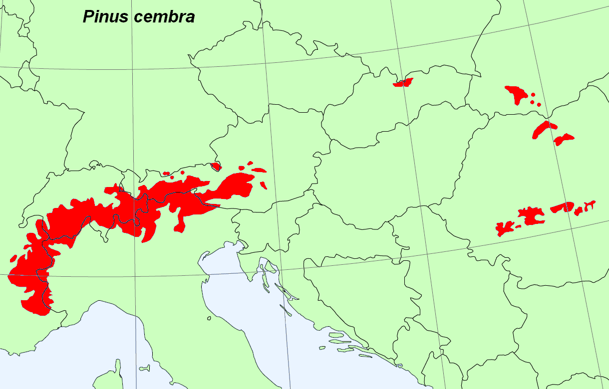 Кедр европейский распространен в Альпах и Карпатах. В Альпах это Швейцария + альпийские окраины Австрии, Германии, Италии и Франции. В Карпатах ареал разорванный. На севере это пограничные районы Словакии и Польши в Высоких Татрах, на востоке – Украина, на юге – Румыния. 