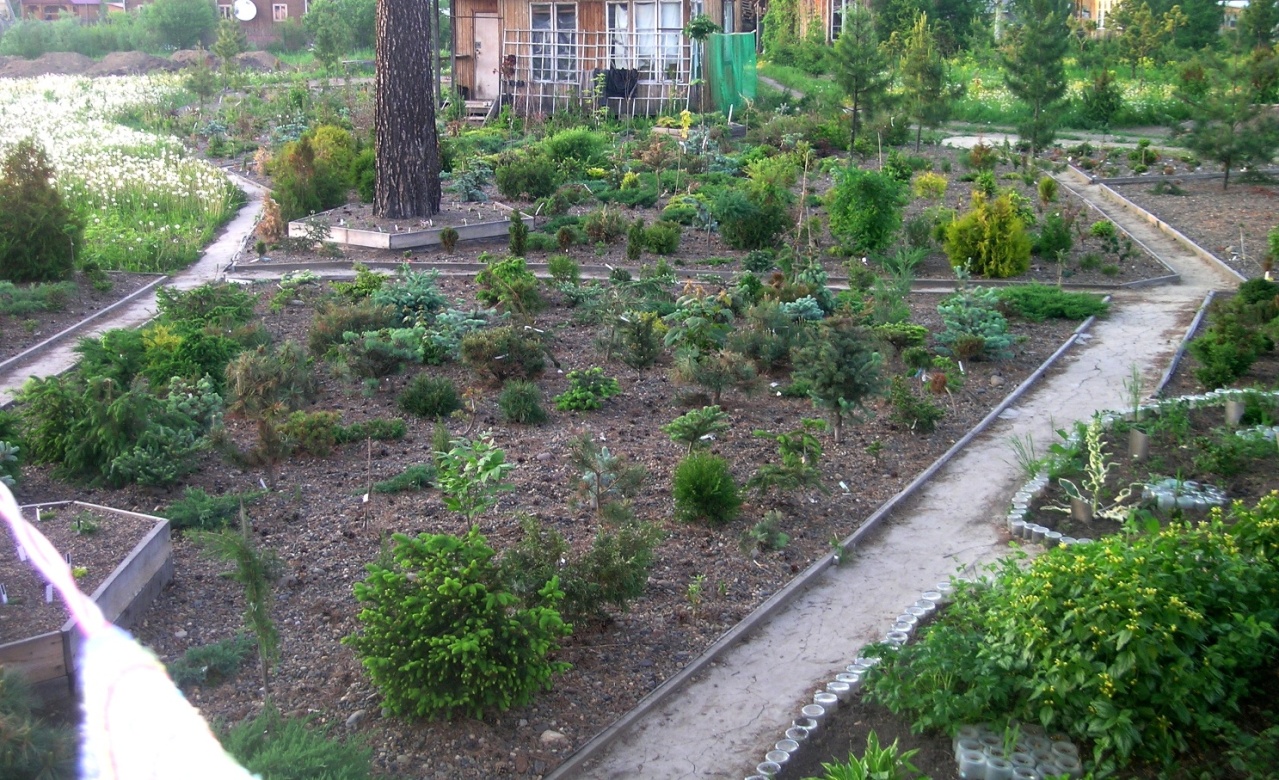 Гравийные сады в 2010 г.